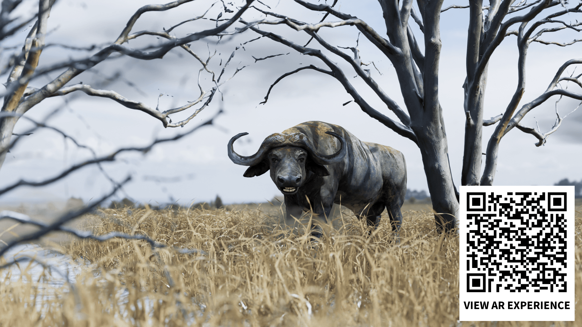 Buffalo Spatial Model Simulation