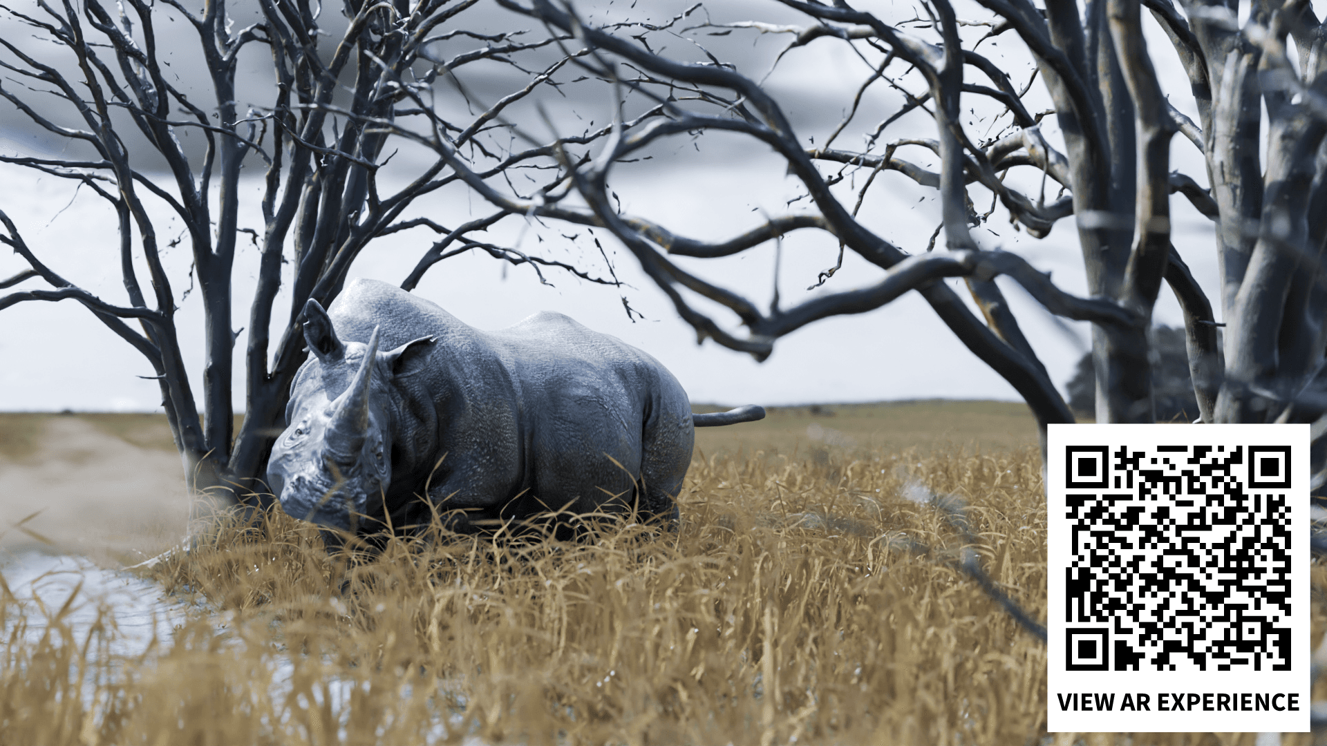 Rhino Virtual Model in Classroom Environment